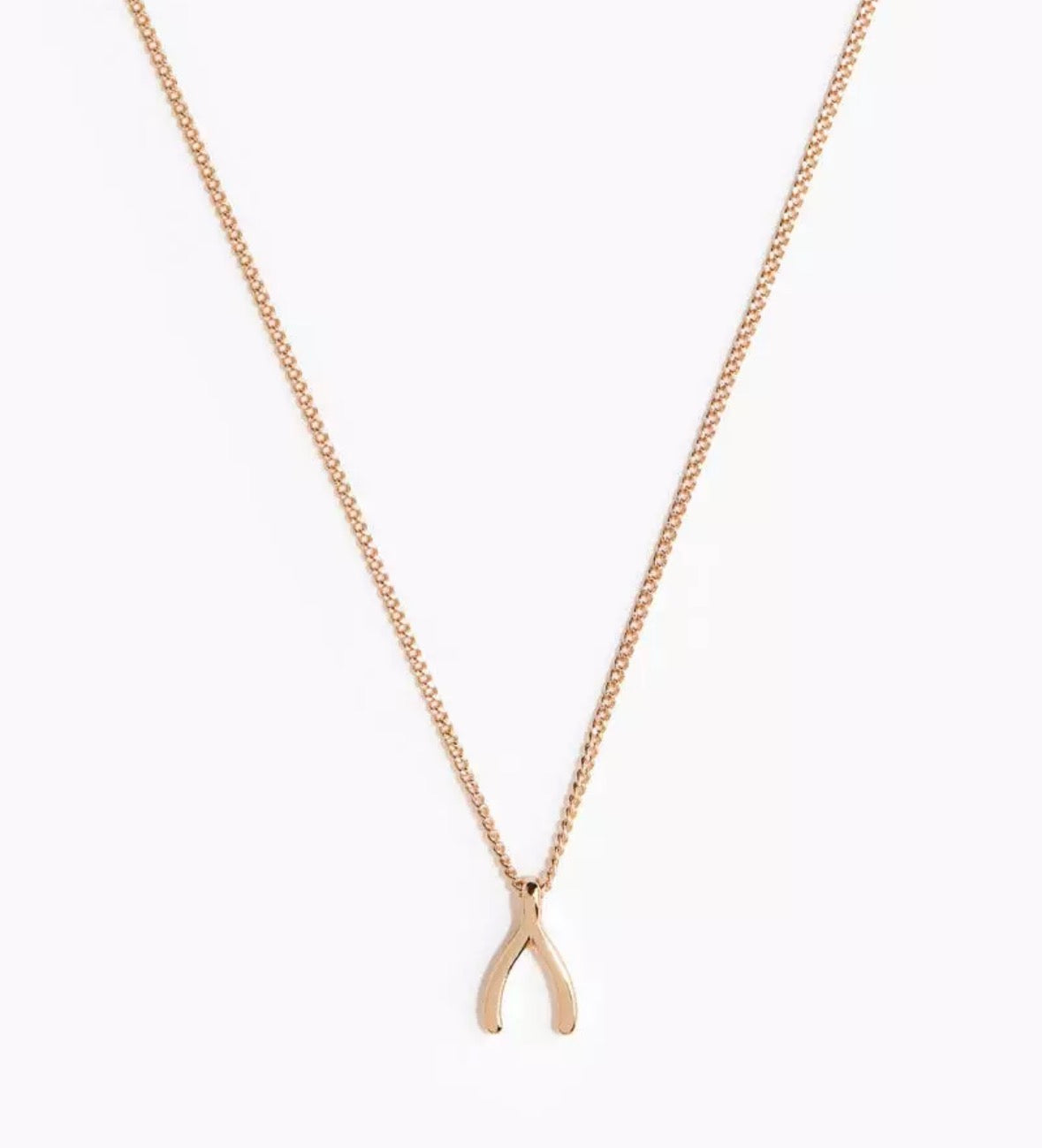 Wishbone pendant on a fine-link chain