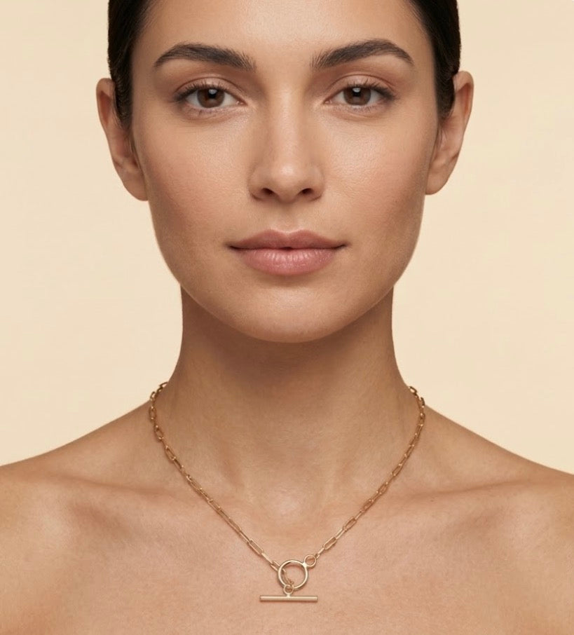 Statement paperclip necklace with a sleek T-bar toggle clasp.