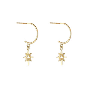 9ct Gold Earrings | ER98