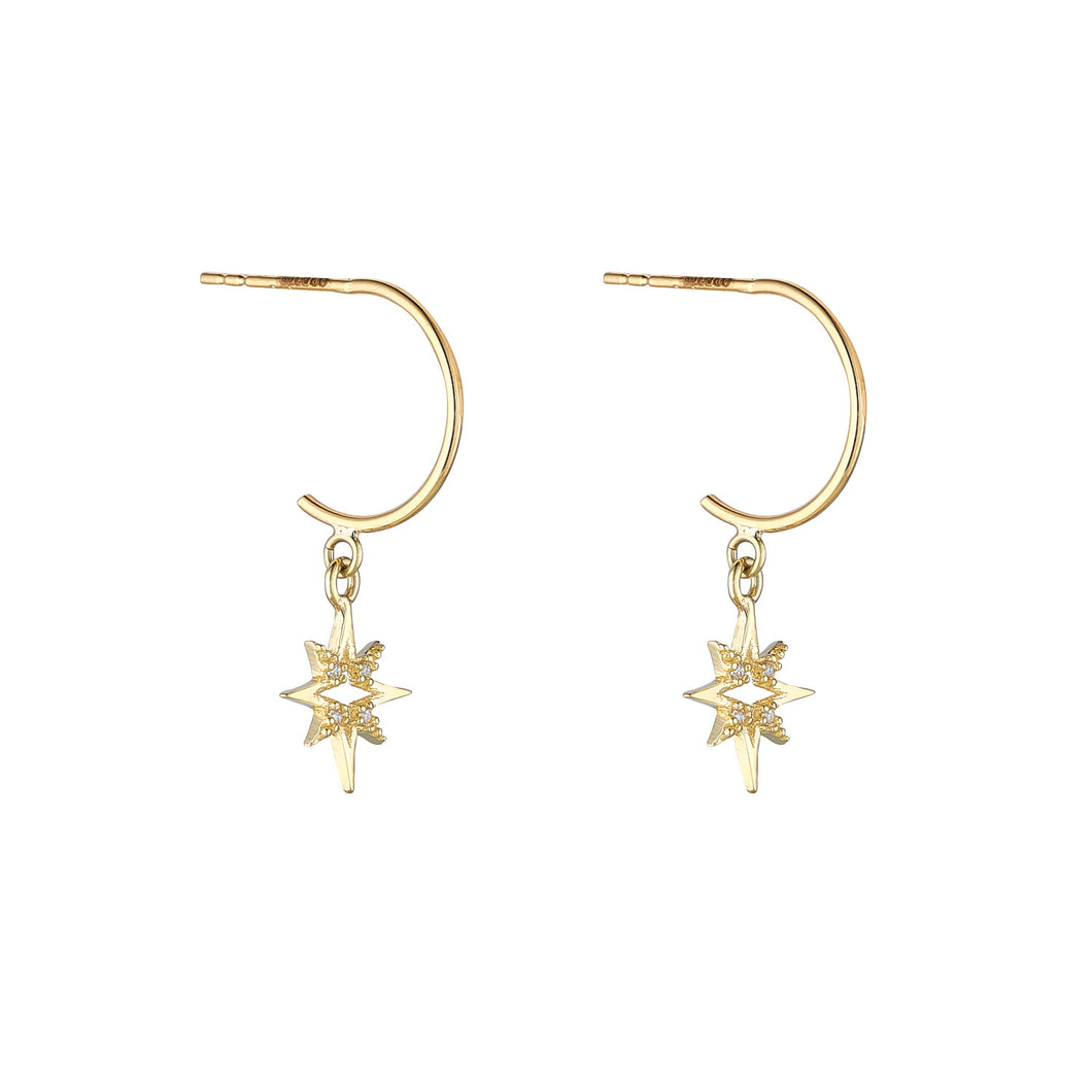 9ct Gold Earrings | ER98