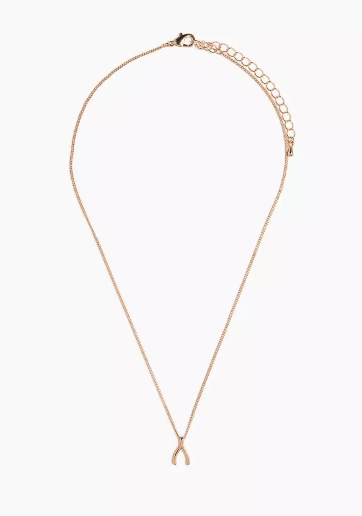 Wishbone pendant on a fine-link chain